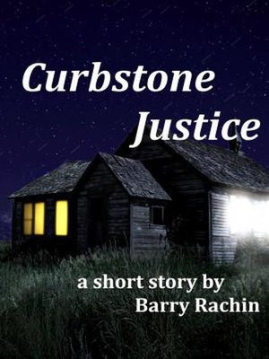 cover image of Curbstone Justice